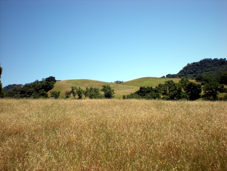 Sunol Wilderness Review