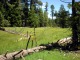 Jake Schneider Meadow Review